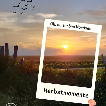 Traeumen Am Kamin Daire