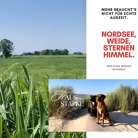 Traeumen Am Kamin *