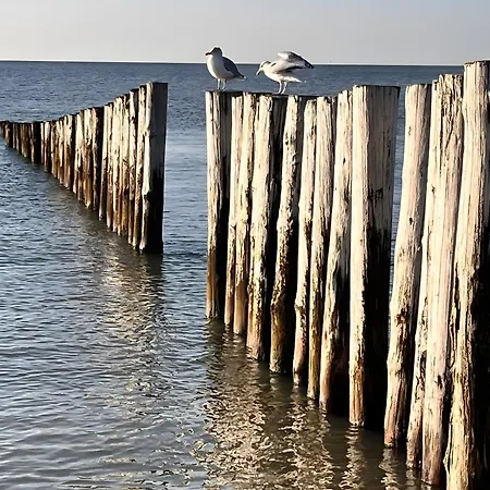 Traeumen Am Kamin Schillig