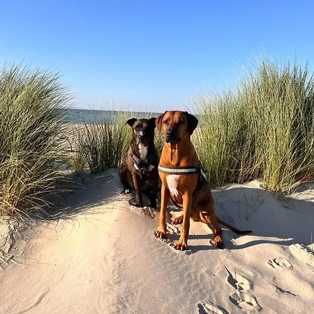 Traeumen Am Kamin